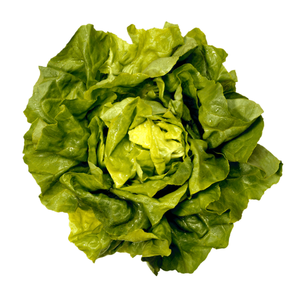 Mixed Green and Red Veggie